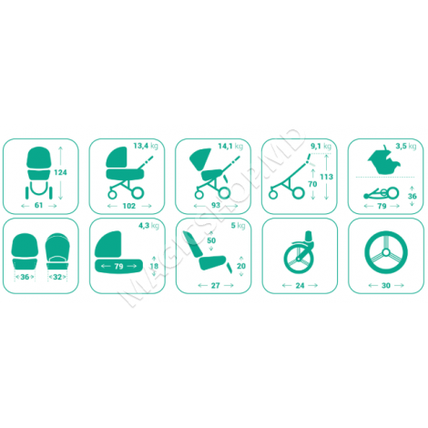 Carucior 2 in 1 Bebetto Holland W49